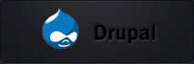 Drupal CMS Website